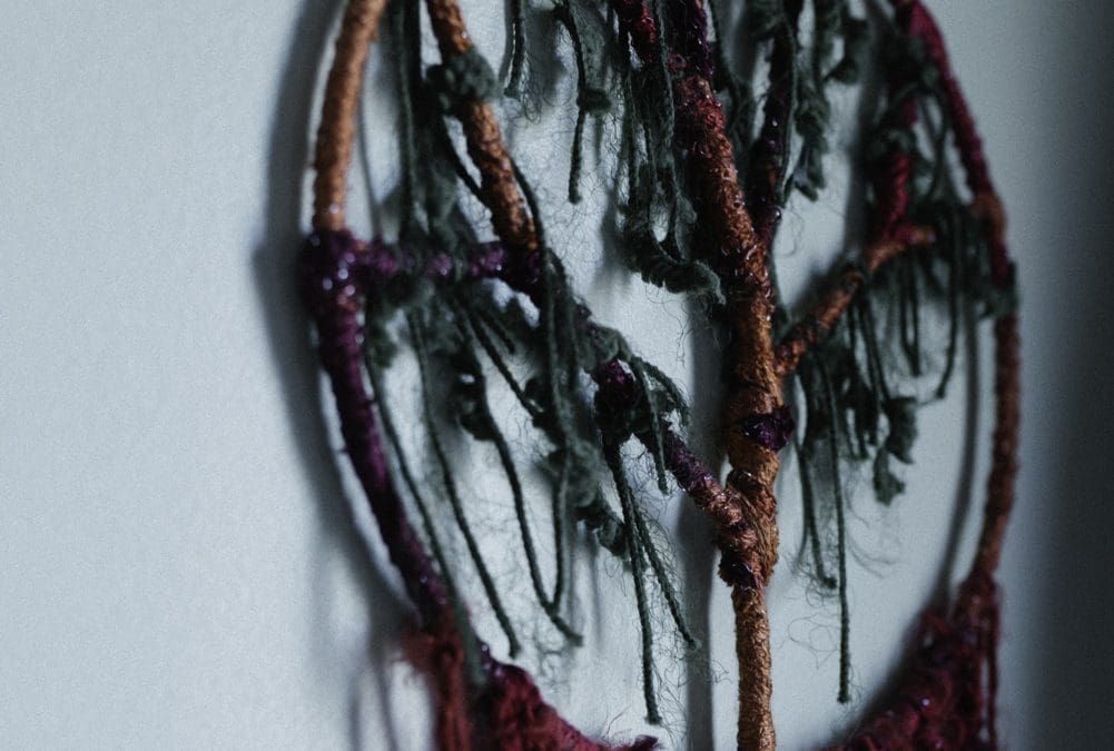 Myth Vs. Reality: What does Cedar Strong do?